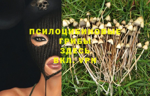 не бодяженный Аркадак