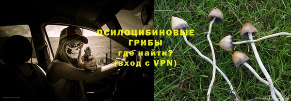а пвп мука Армянск