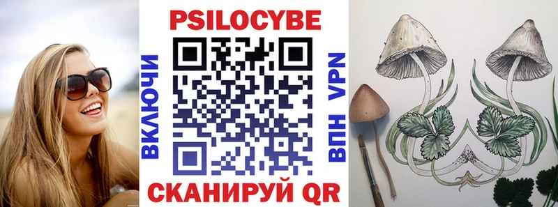 Галлюциногенные грибы прущие грибы Зима